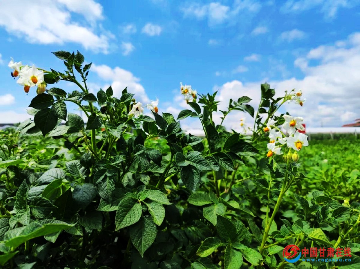 7b28b2dde6a18b887b2cacb572d67437.jpg nEO_IMG_图片19.jpg