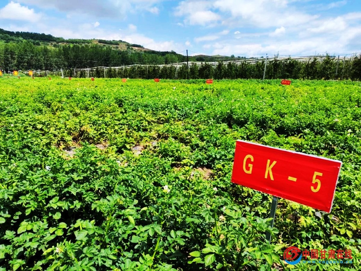 e88451f5a4c19a8e1bc91923ae11b52a.jpg nEO_IMG_图片18.jpg