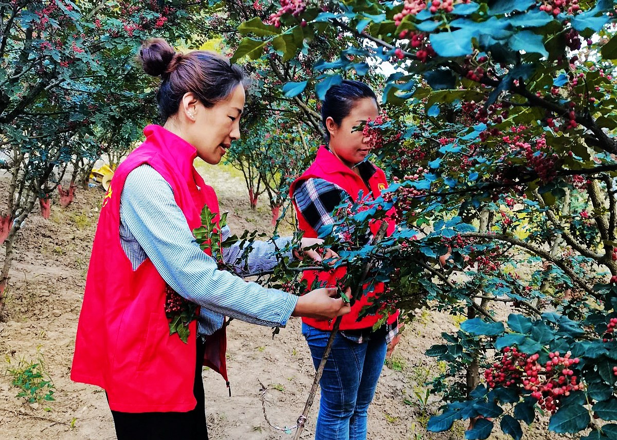 nEO_IMG_΢��ͼƬ_20230719153519 - ����(1).jpg