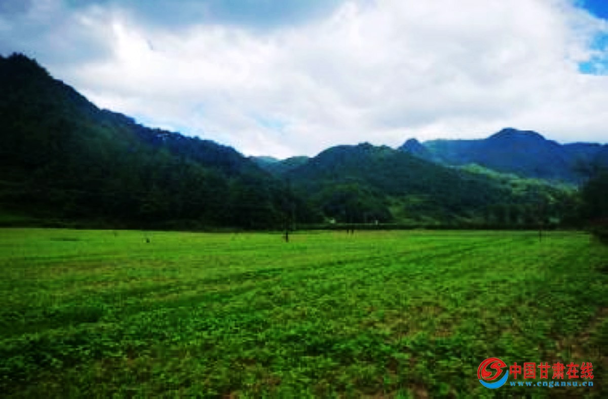 69490f2054a1a7f672f4bd6b9e026e73.jpg nEO_IMG_1.jpg