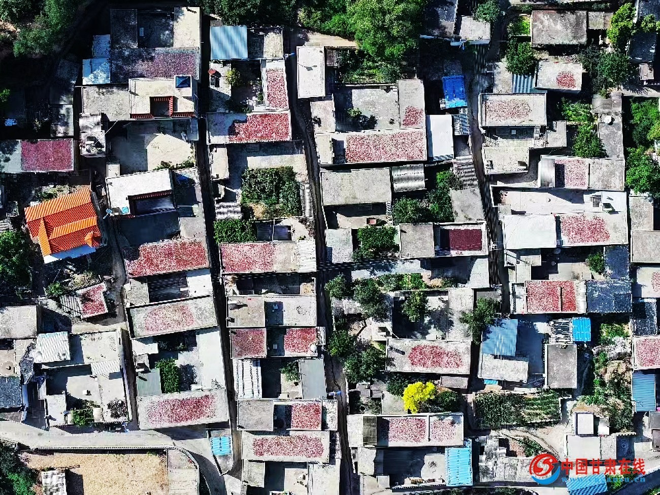 ebd7f17719332b40db580f86d52101b1.jpg nEO_IMG_mmexport1694806047178.jpg