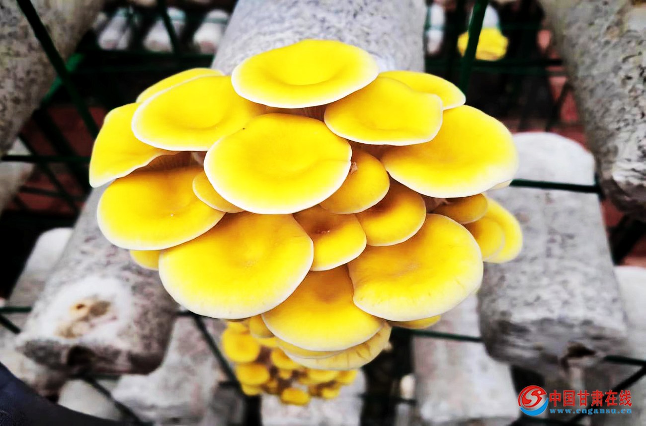 691310d997553dd4554c44cad4e5e7cc.jpg nEO_IMG_图片16.jpg