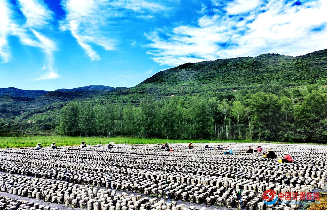 9598c3863c7ea5045495c3b274bbd512.jpg nEO_IMG_图片17.jpg