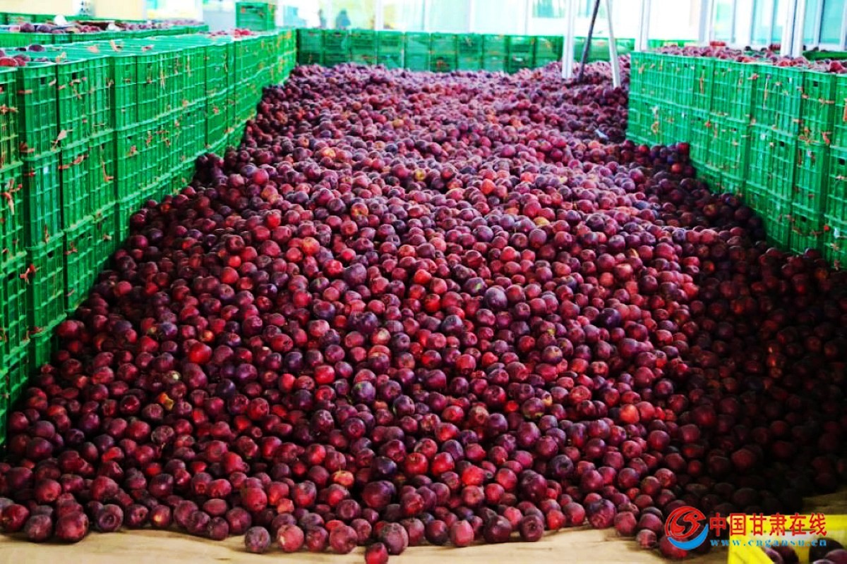 2ee90bc619d2092aa9e5be6034bc5cac.jpg nEO_IMG_图片3.jpg