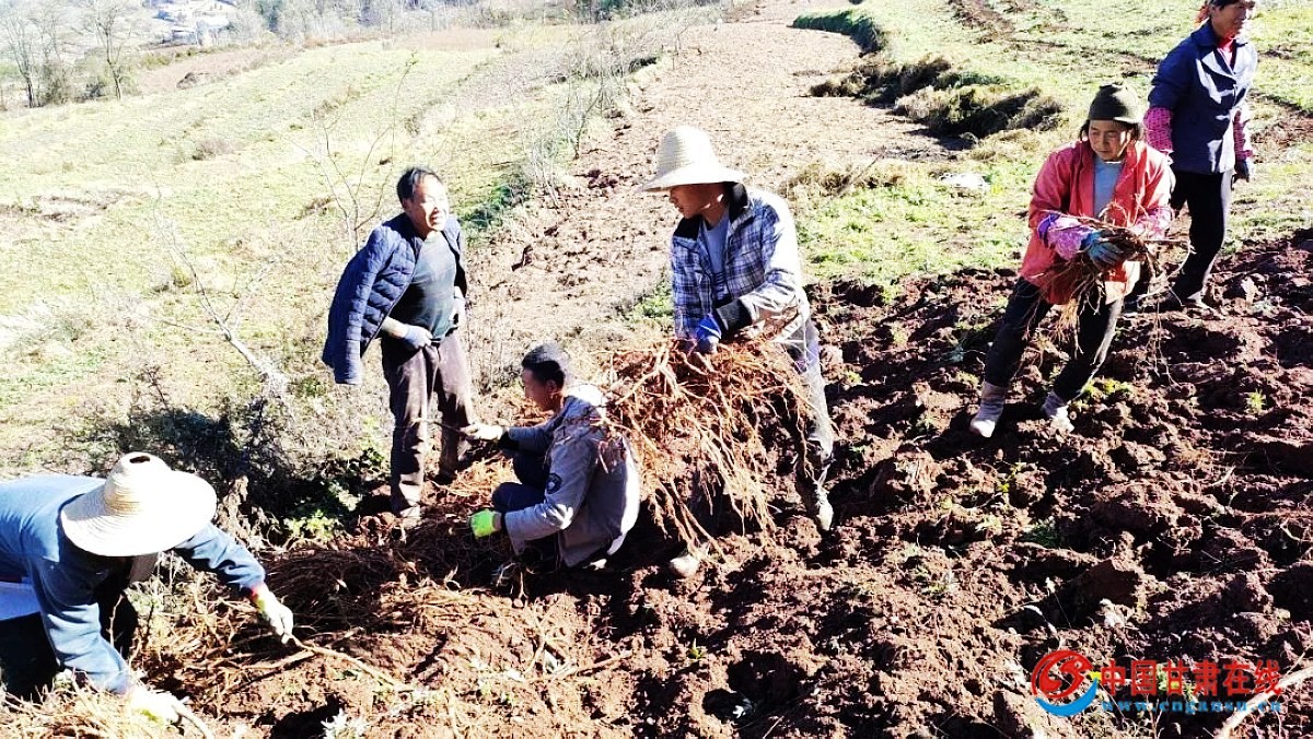 890bcce24c76569871e5c838c90e45b5.jpg nEO_IMG_640 (9).jpg