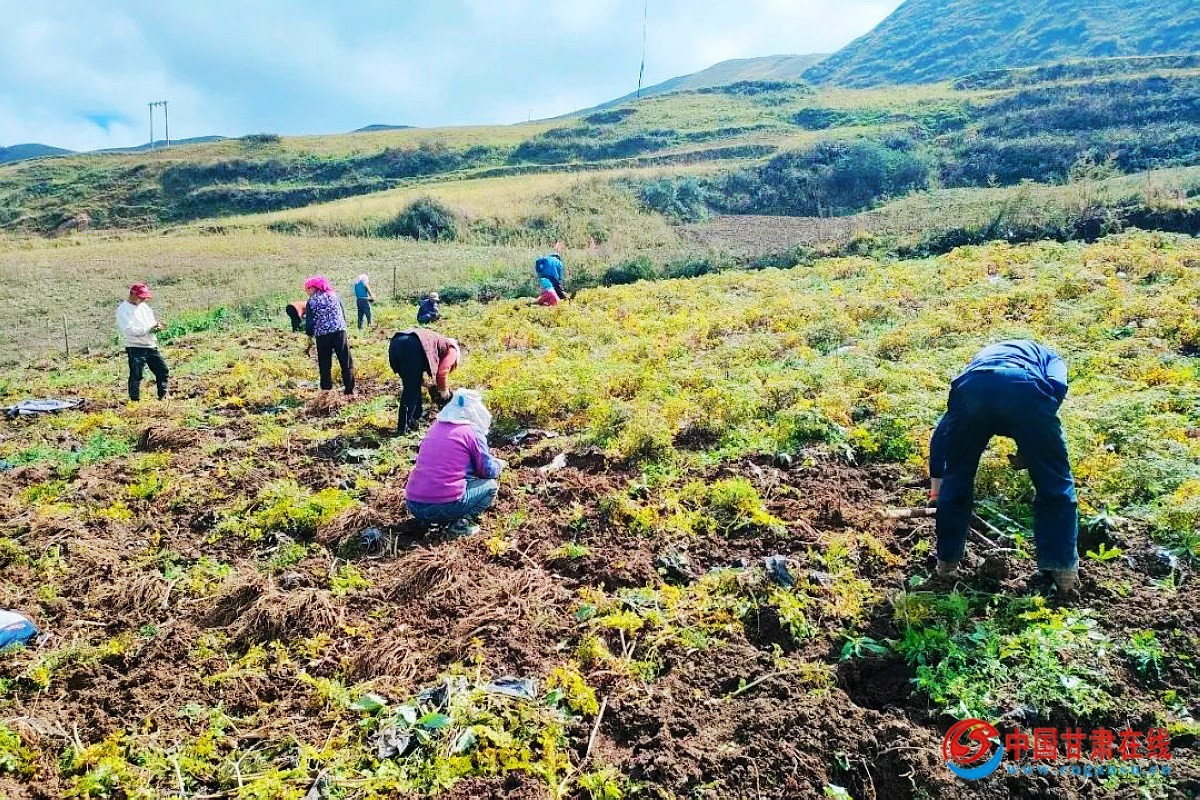 nEO_IMG_ʯ���� ���紴ҵ����ͷ����  ��ҵ�¸�����ͷ�㡱 (1).jpg