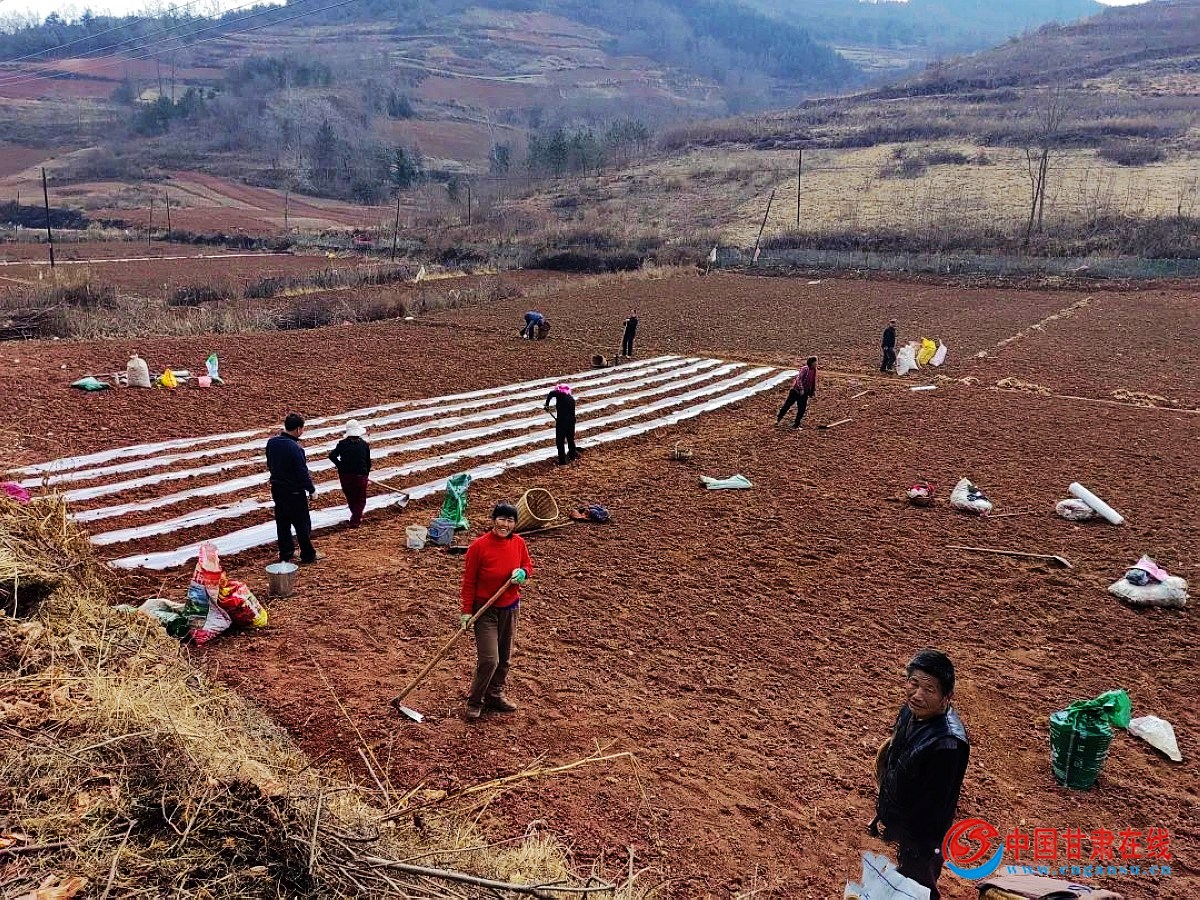 06ddf9e0a99cb5c34fa729a46d129454.jpg nEO_IMG_640 (3).jpg