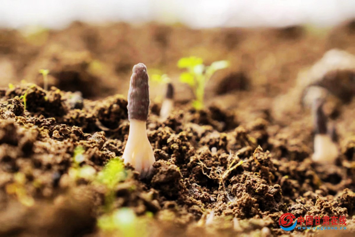 bdef7365fdf82afabbb89a2c8838bf07.jpg nEO_IMG_图片1.jpg