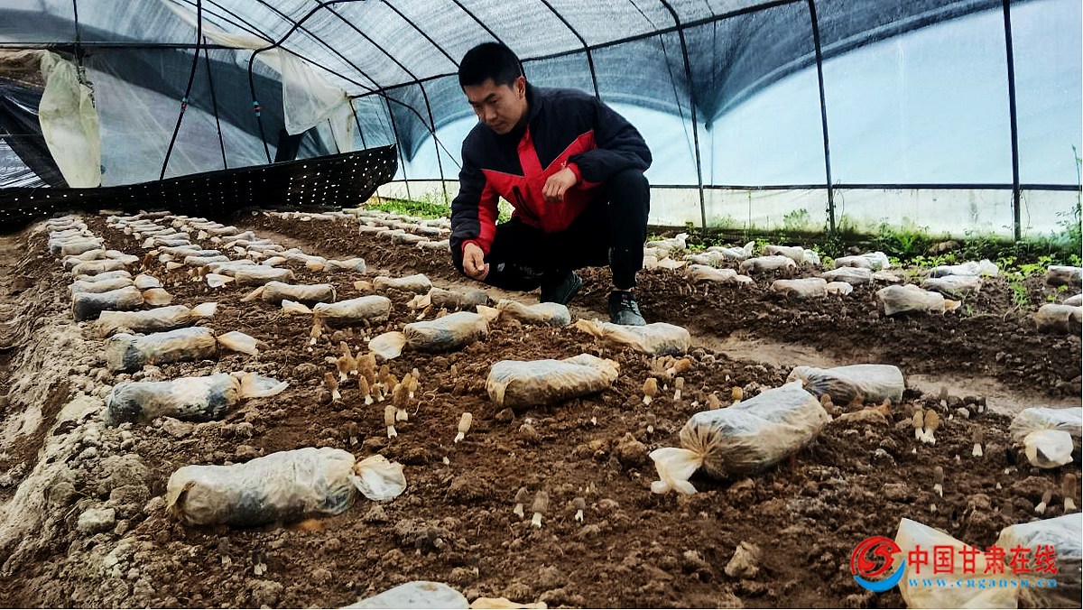 b6f0ba5444c8107ed2c83afac9968446.jpg nEO_IMG_图片3.jpg