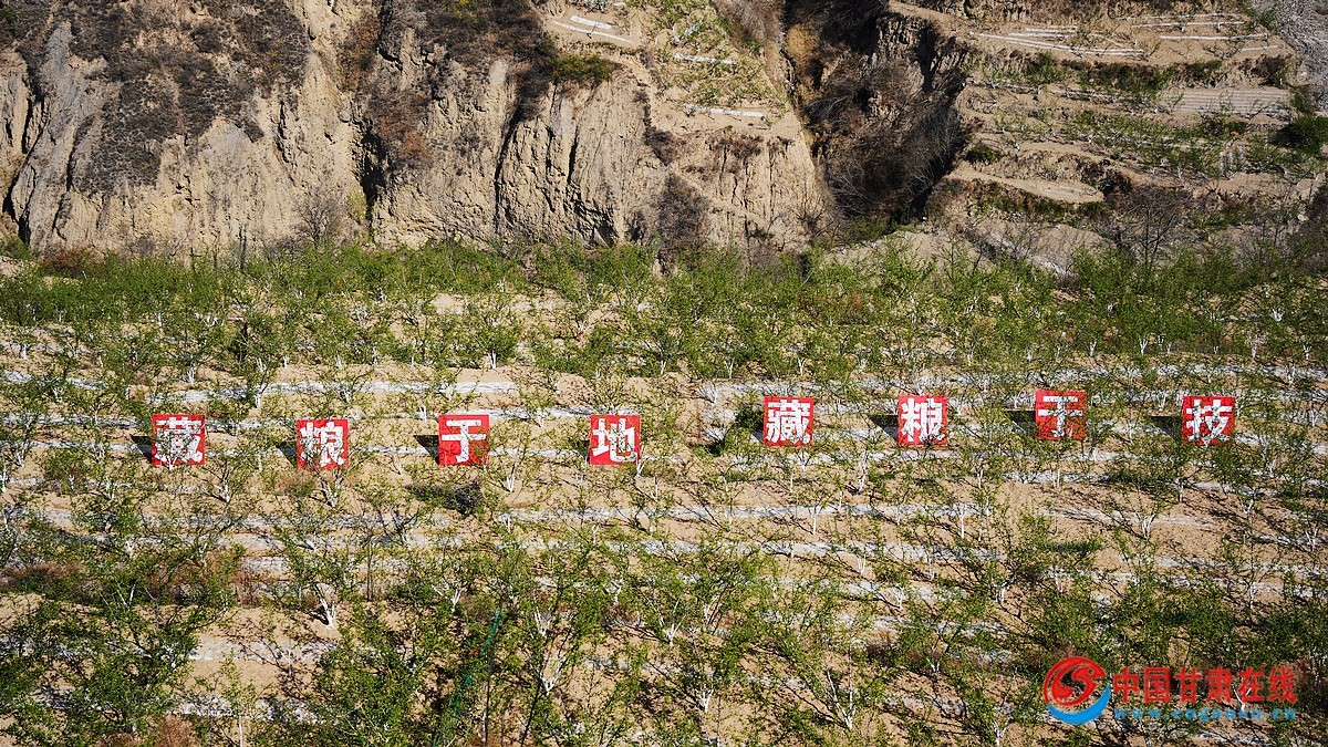 dfaa4c2b8daf2a70e99c277306245a5c.jpg nEO_IMG_微信图片_20240418172719.jpg