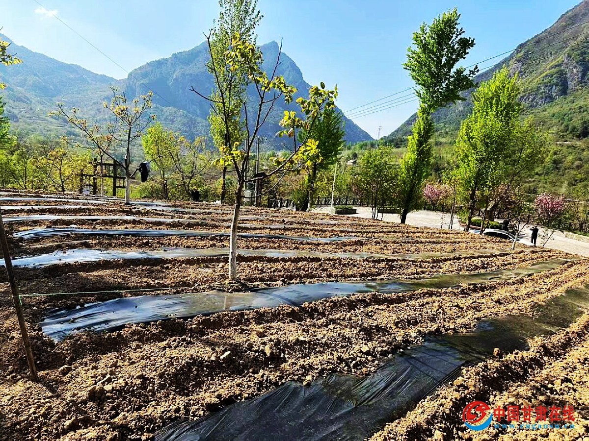 525ff051f1e89837702121032e368195.jpg nEO_IMG_图片10.jpg