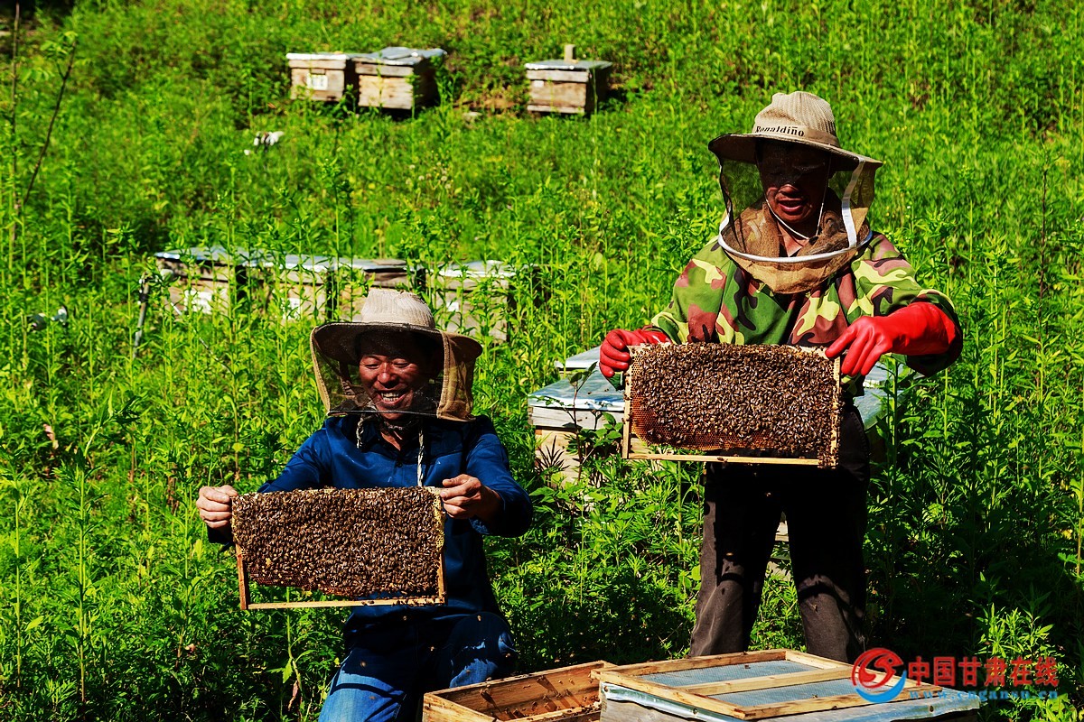 c2e08fed5a1b0709836750195c850a19.jpg nEO_IMG_图片22.jpg