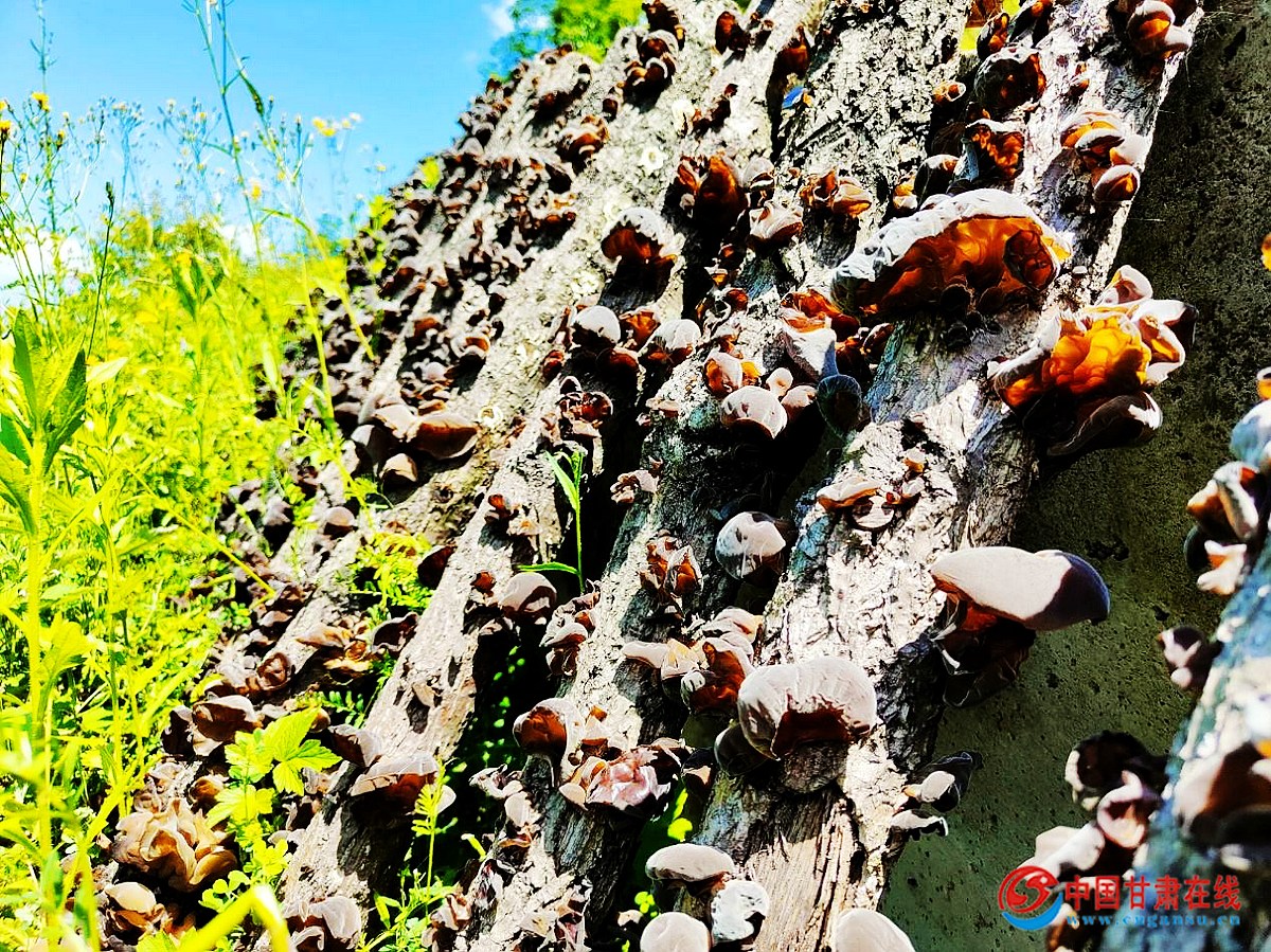 1d3e98e62d3e1383ebc2834a36f758d1.jpg nEO_IMG_图片1.jpg