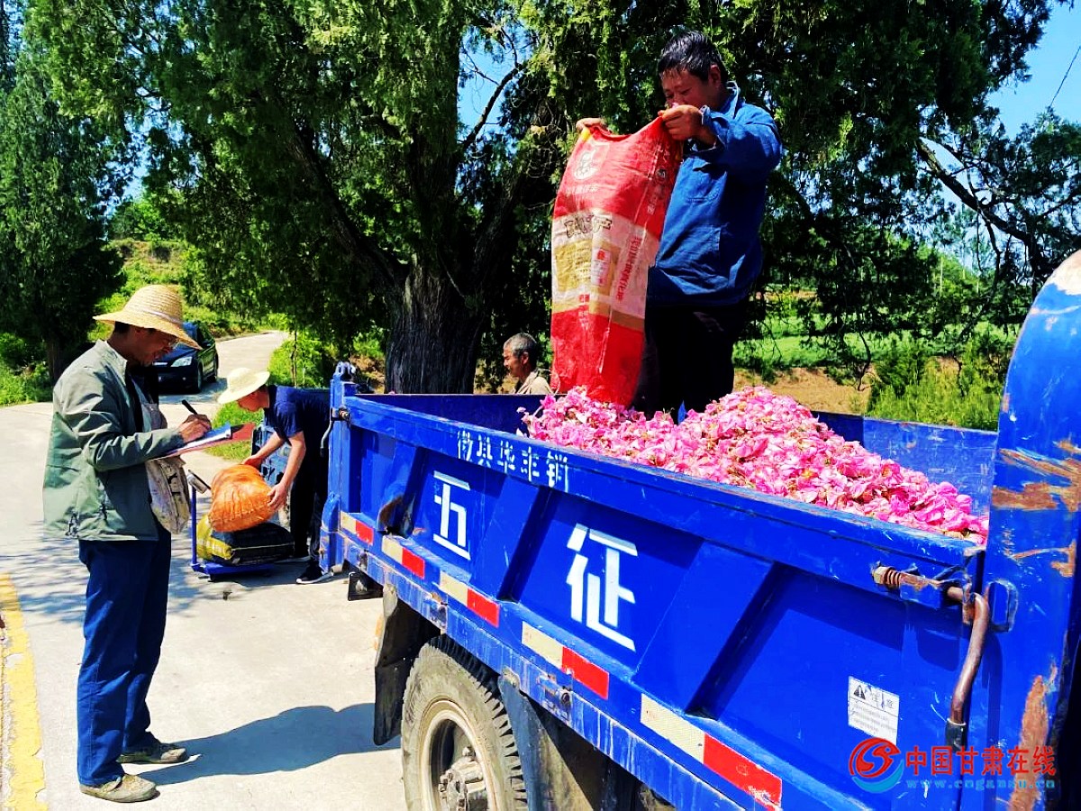 93590ebf37e81ee62e2f3a441bc4dd45.jpg nEO_IMG_图片6.jpg