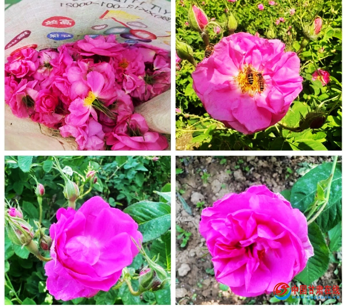 480e01e8988dd6007d3854dc0a5812e6.jpg nEO_IMG_图片12.jpg