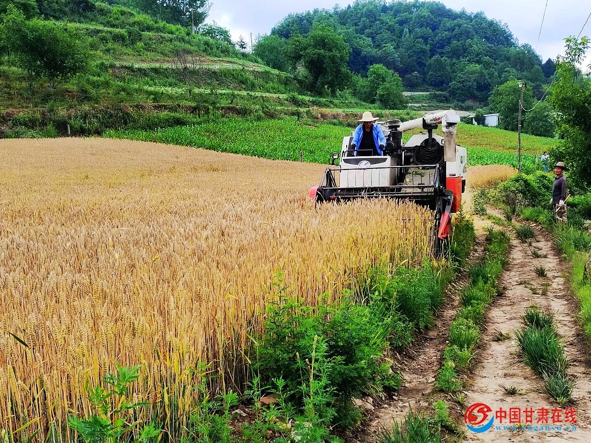 e90270c03f10287f8a754472776d65a8.jpg nEO_IMG_图片9.jpg