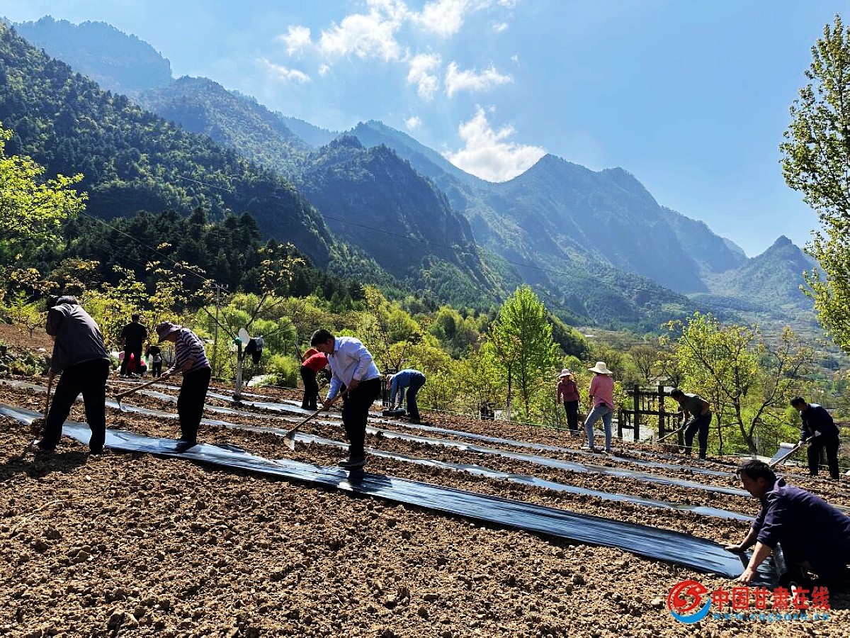 9abbce7e8d658aee0ff35f4169a9f6e3.jpg nEO_IMG_图片14.jpg