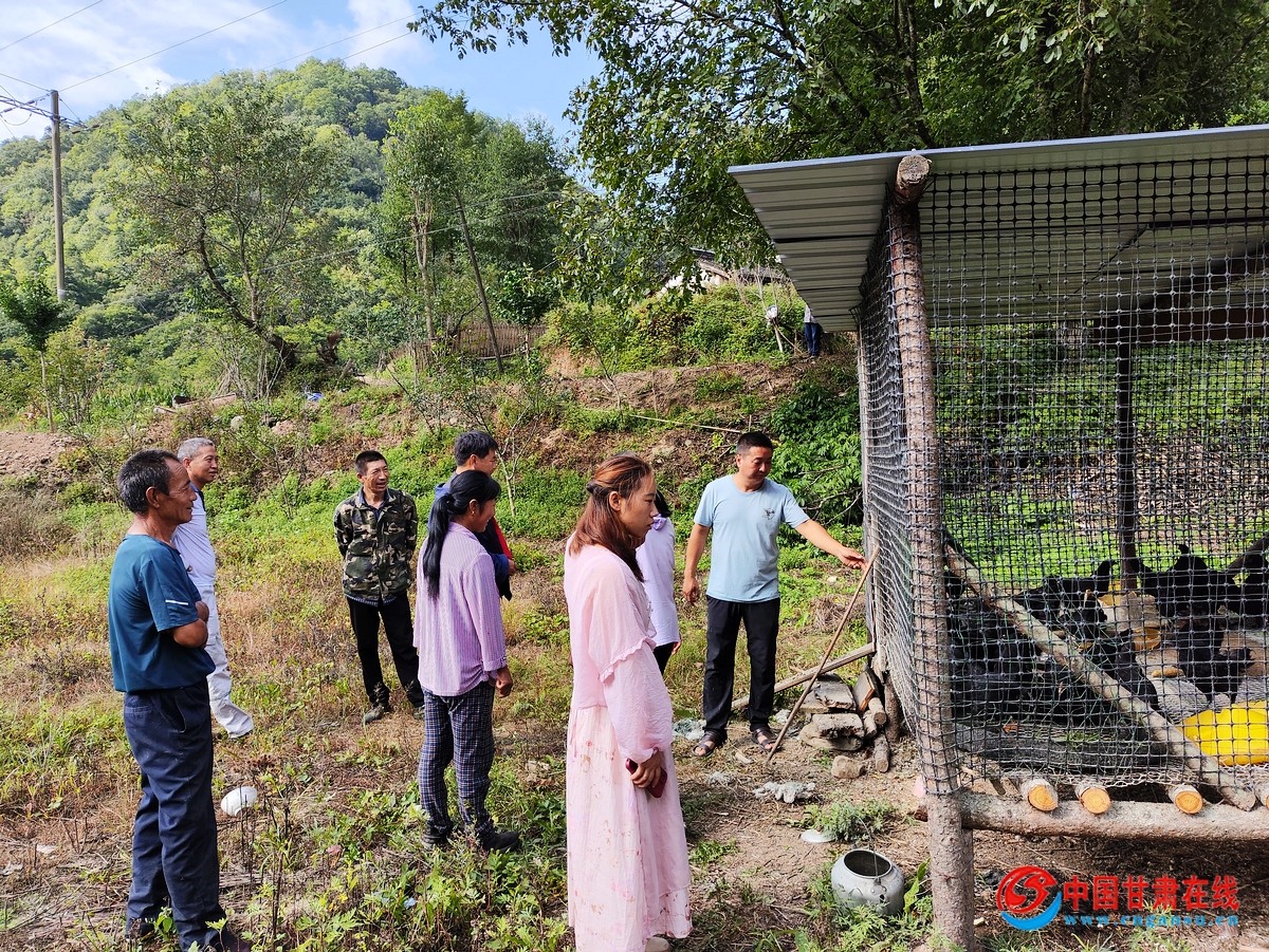 78c2ef0e831e3ecae82c4eafe6410366.jpg nEO_IMG_图片3.jpg