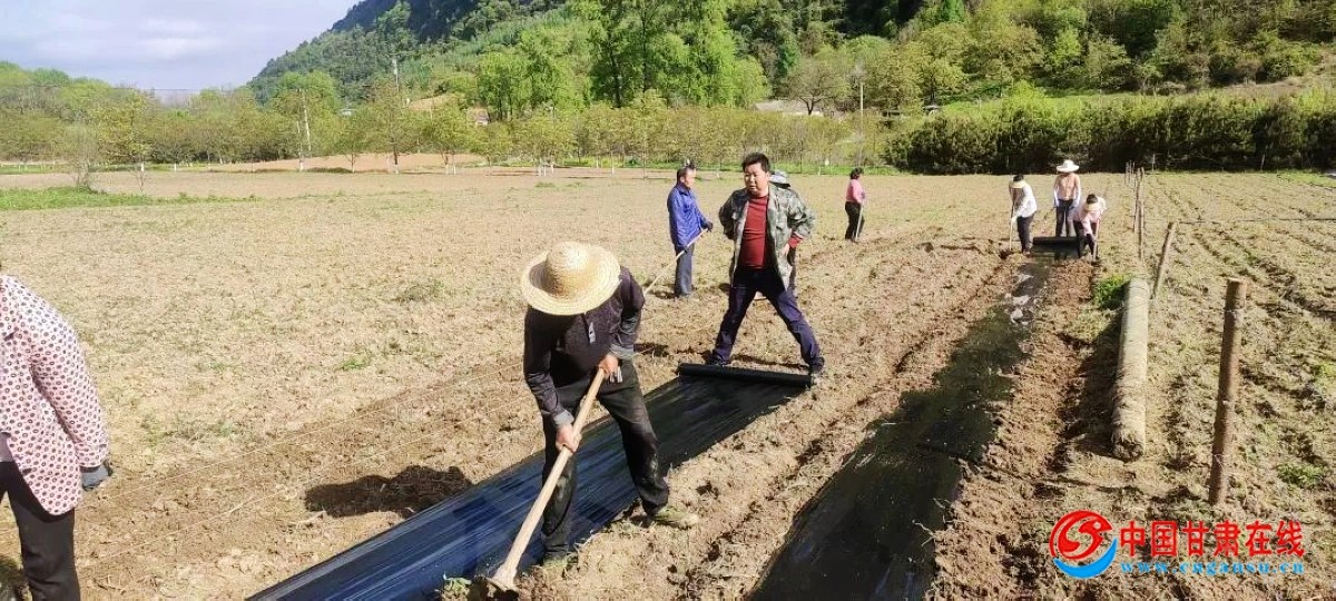 8a3c3aa8d33a33748fed5bab133dfcd9.jpg nEO_IMG_图片63.jpg