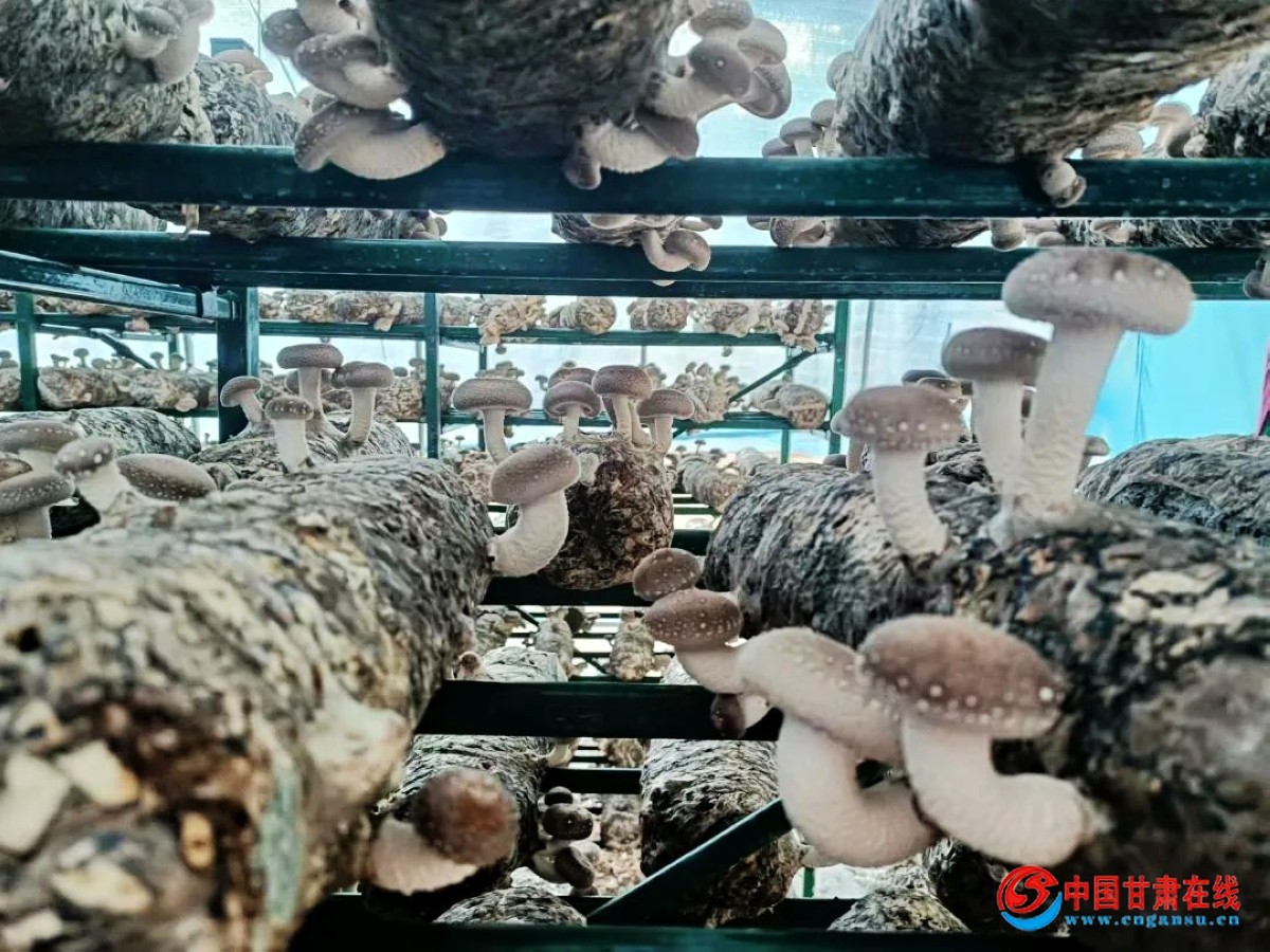 ebaec281f4690f9d28551b15579c2e4f.jpg nEO_IMG_图片53.jpg