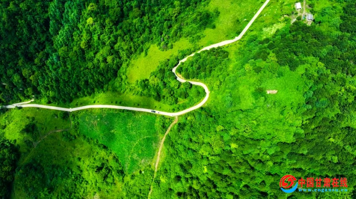 27eee79bafb63c31300a9fa78f2a53e2.jpg nEO_IMG_图片97.jpg