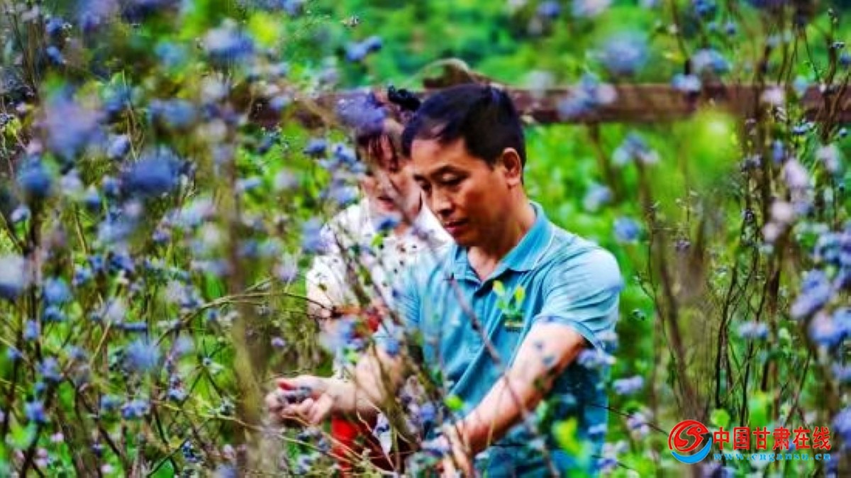 4c5776395ac7fe2ca321030052cd24b2.jpg nEO_IMG_图片92.jpg