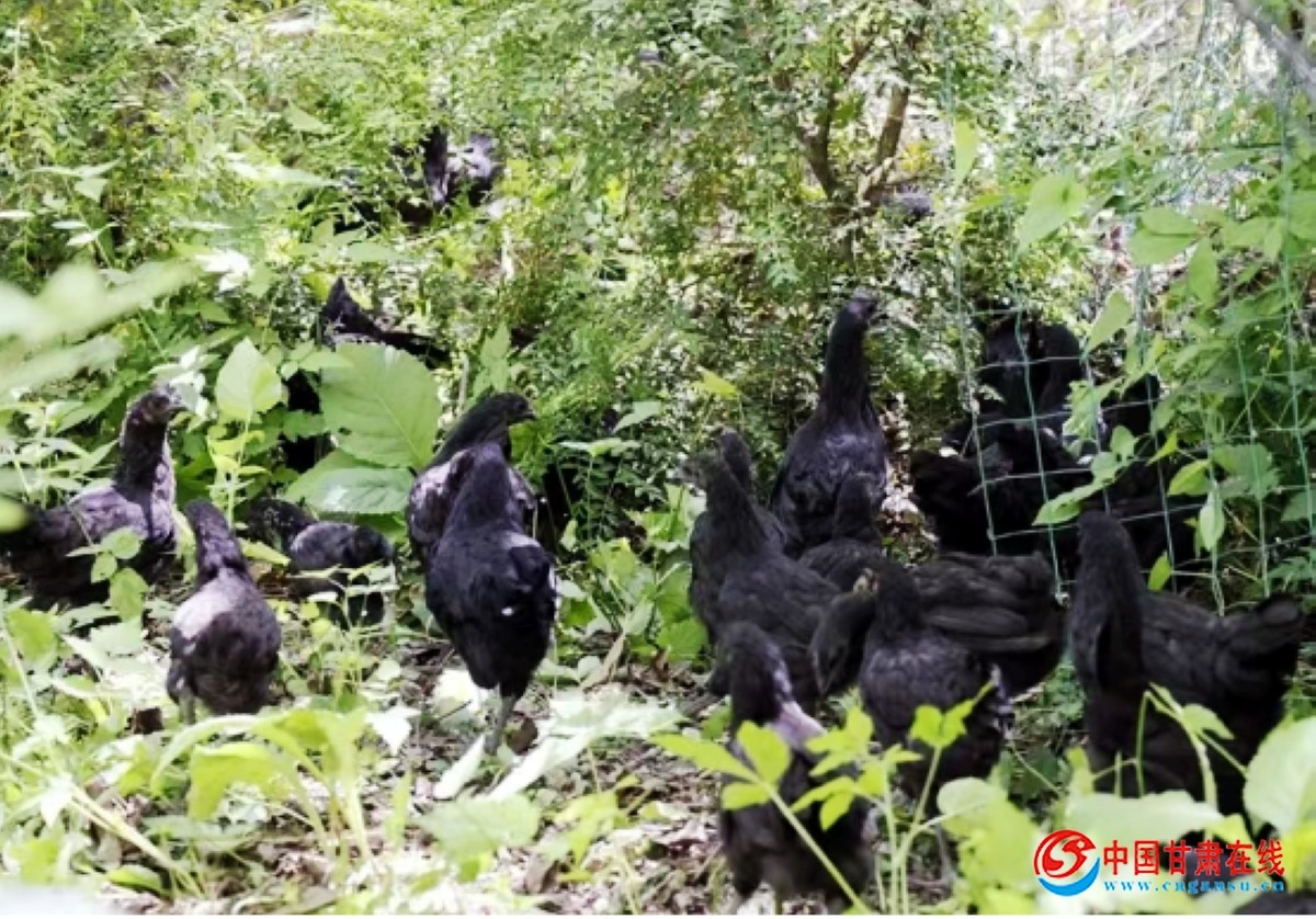 d9d95724153f508ade0675bc3199798f.jpg nEO_IMG_图片78.jpg