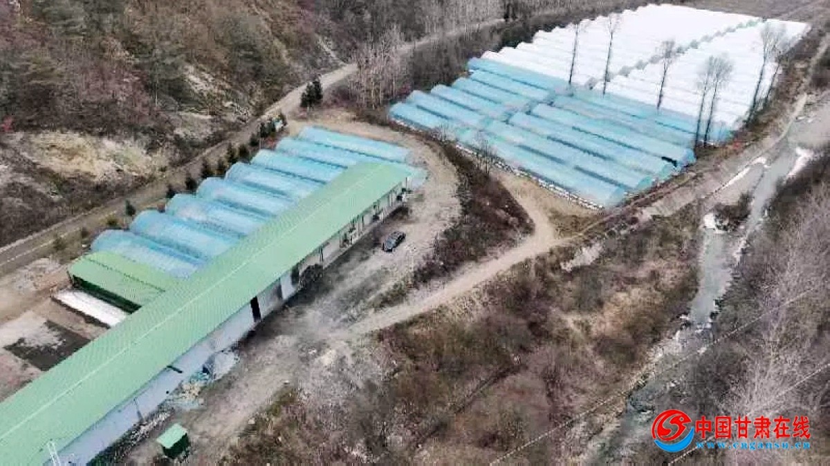 03a551978eb42612484ea1dde0ce16a1.jpg nEO_IMG_图片6.jpg