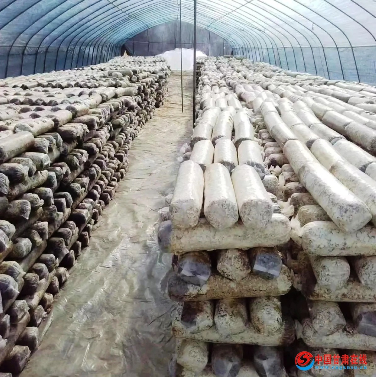 3c1e15b29c691839eb5be5afcb7d2ea9.jpg nEO_IMG_图片4.jpg