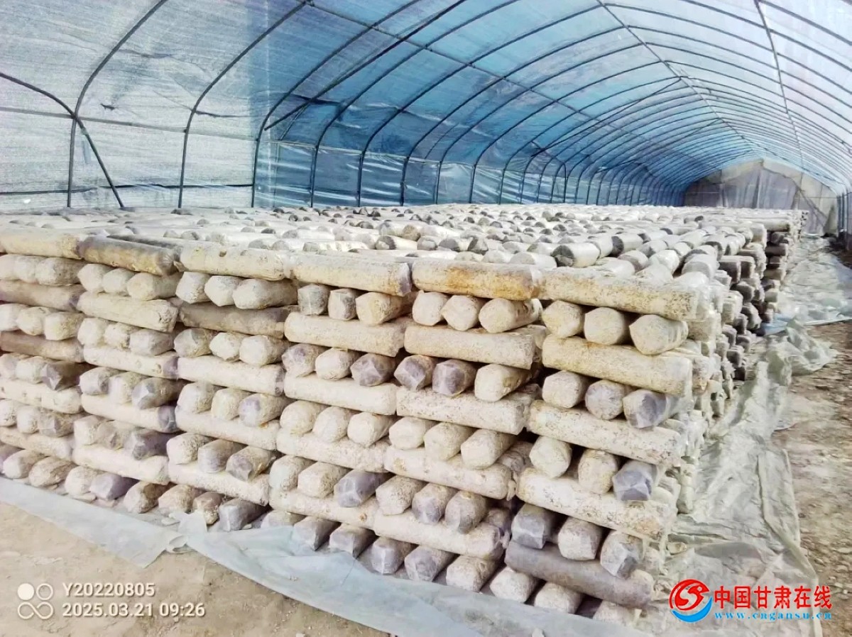 78630a3085380d389737b7c479a005ff.jpg nEO_IMG_图片5.jpg