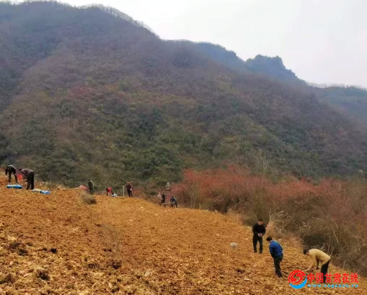 e61723755e27fec9b3d57970bddb246d.jpg nEO_IMG_33.jpg