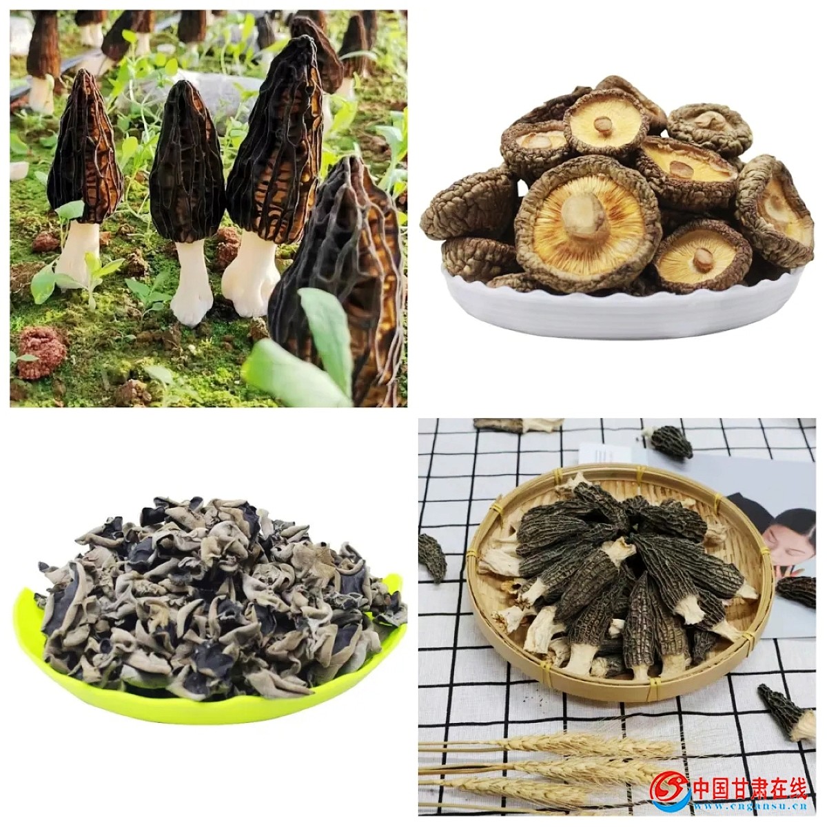 1587c1c2f434d226ae44b8d4d1f8c284.jpg nEO_IMG_1.webp.jpg