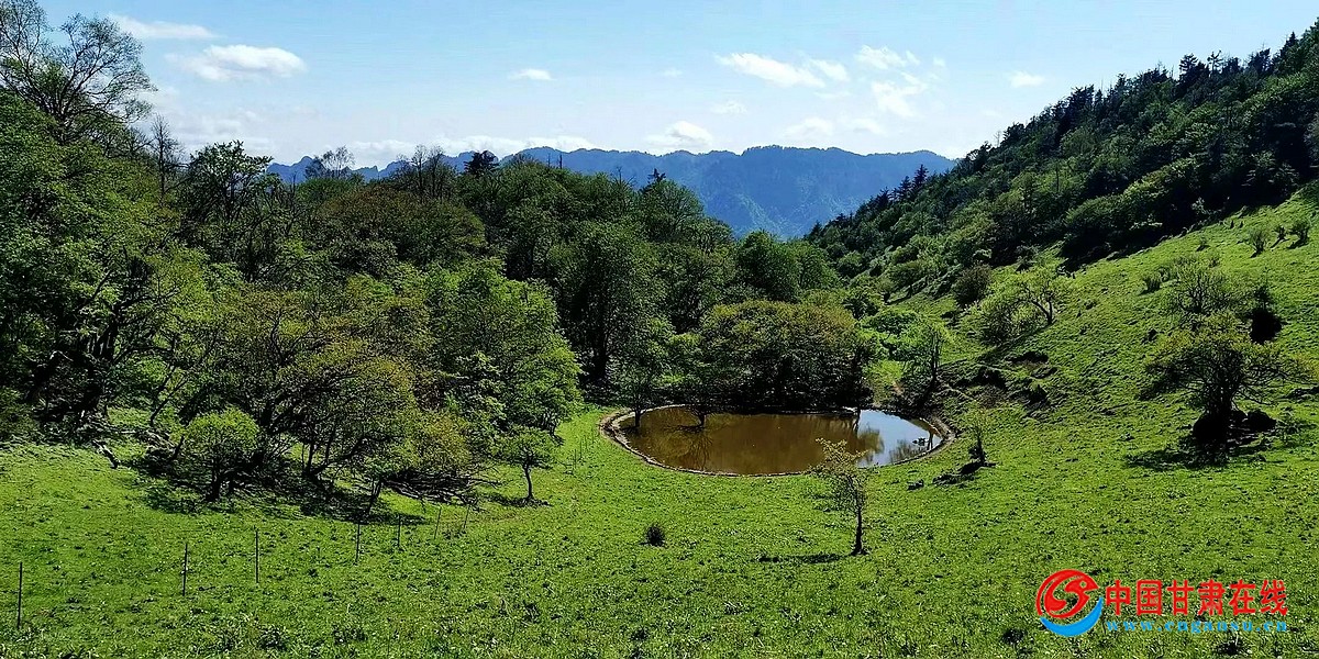 8cdc721d61cbfdb0217a85ec6d227215.jpg nEO_IMG_图片53.jpg