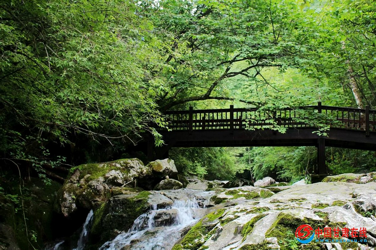 8dac74e81d28d91934de77393e568a3d.jpg nEO_IMG_图片67.jpg