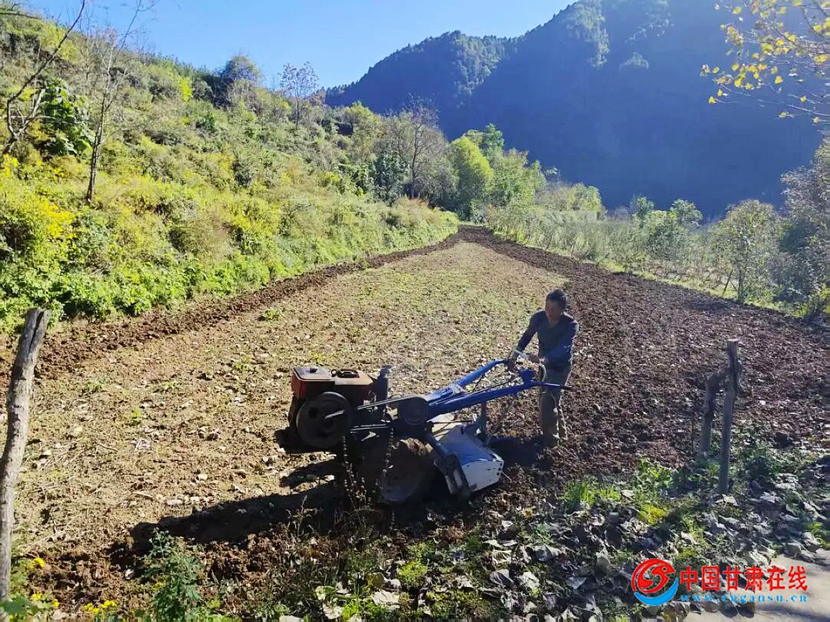 1dbc8830ca464a55984aabcb3577fb56.jpg nEO_IMG_图片3.jpg