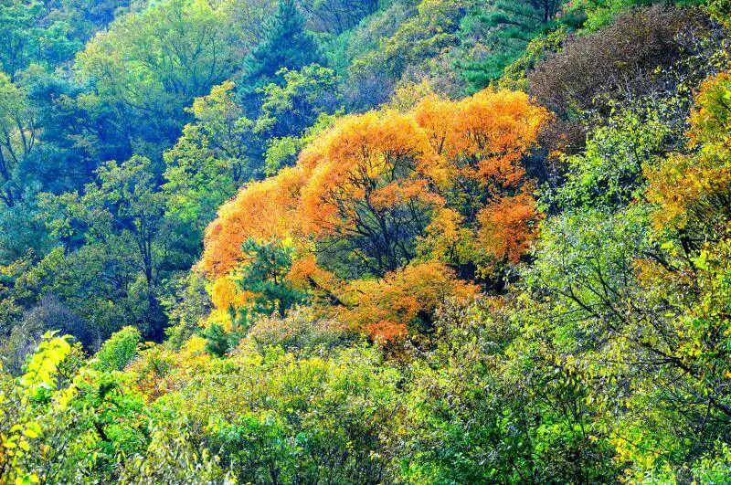 33552b0b6327d6539a4ee784e8e10bd3.png 图片19.png