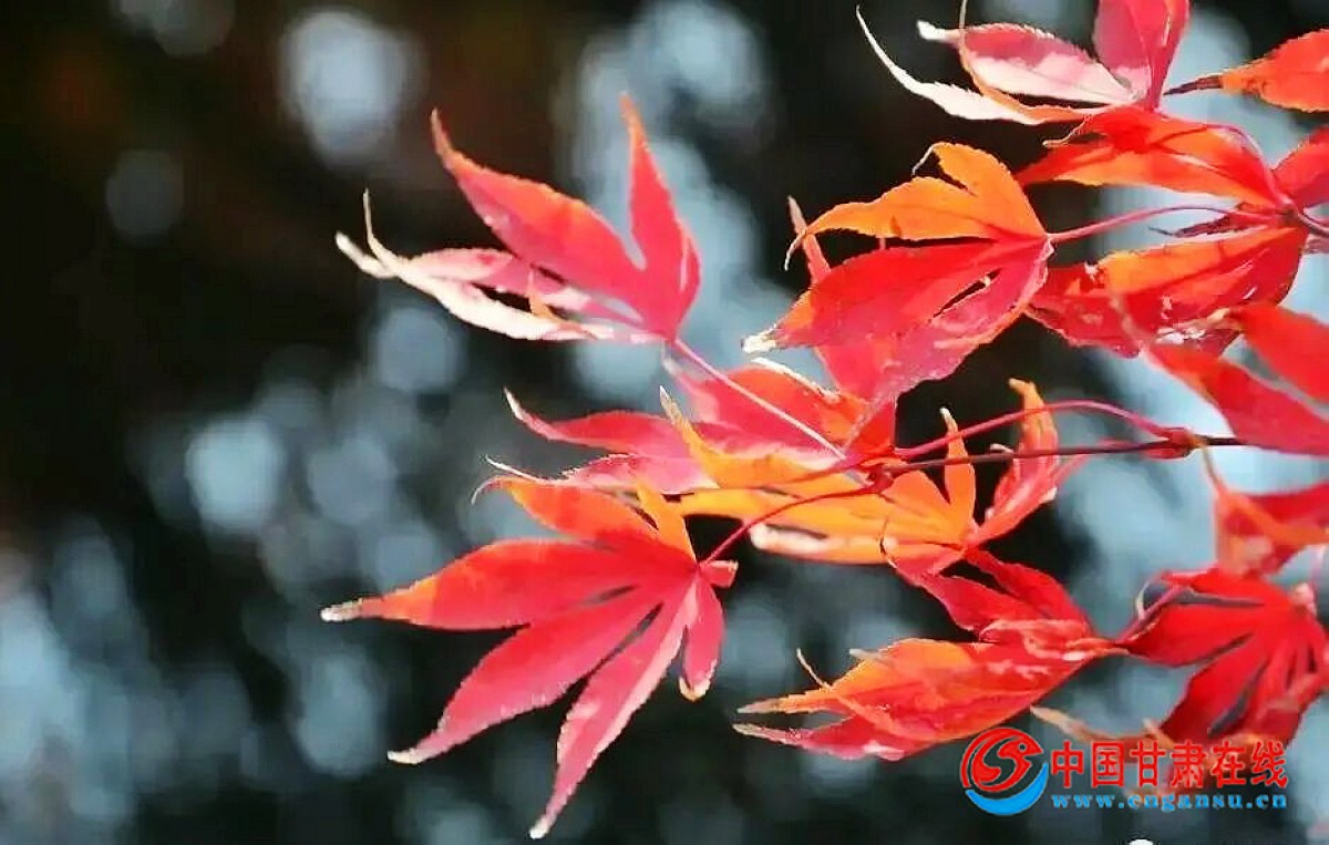 6413c45166763f17eb5755b9f55291f0.jpg nEO_IMG_图片18.jpg