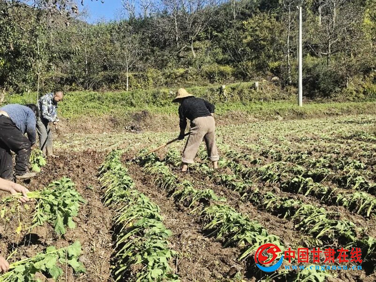 b5703c46b5ec7249bef4eee6c582f40e.jpg nEO_IMG_图片14.jpg