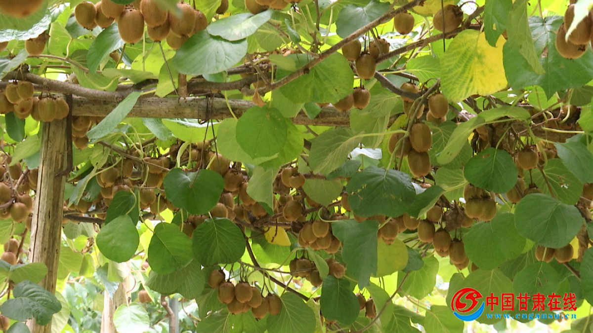 059e62d89af6e12fddcfaca49d7f24fe.jpg nEO_IMG_图片14.jpg