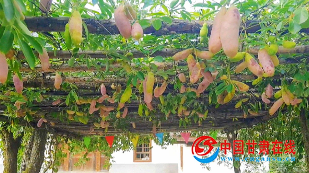 385eaf63787e2c188b7c2903a67b2d2c.jpg nEO_IMG_图片11.jpg