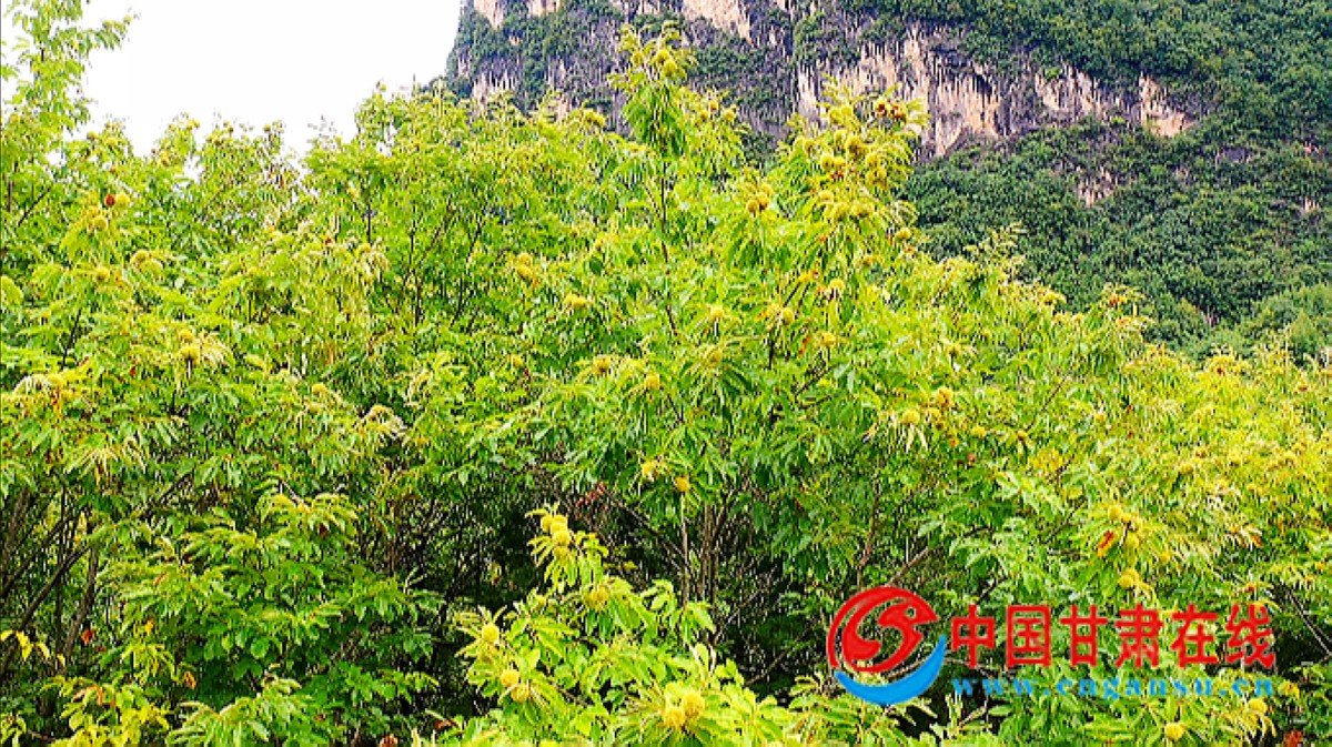 60a718ad27b27ef286ff50f50f149bbc.jpg nEO_IMG_图片13.jpg