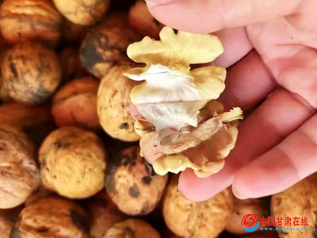 96e7b911abf4be84ea61add5fe44cd7f.jpg nEO_IMG_图片15.jpg