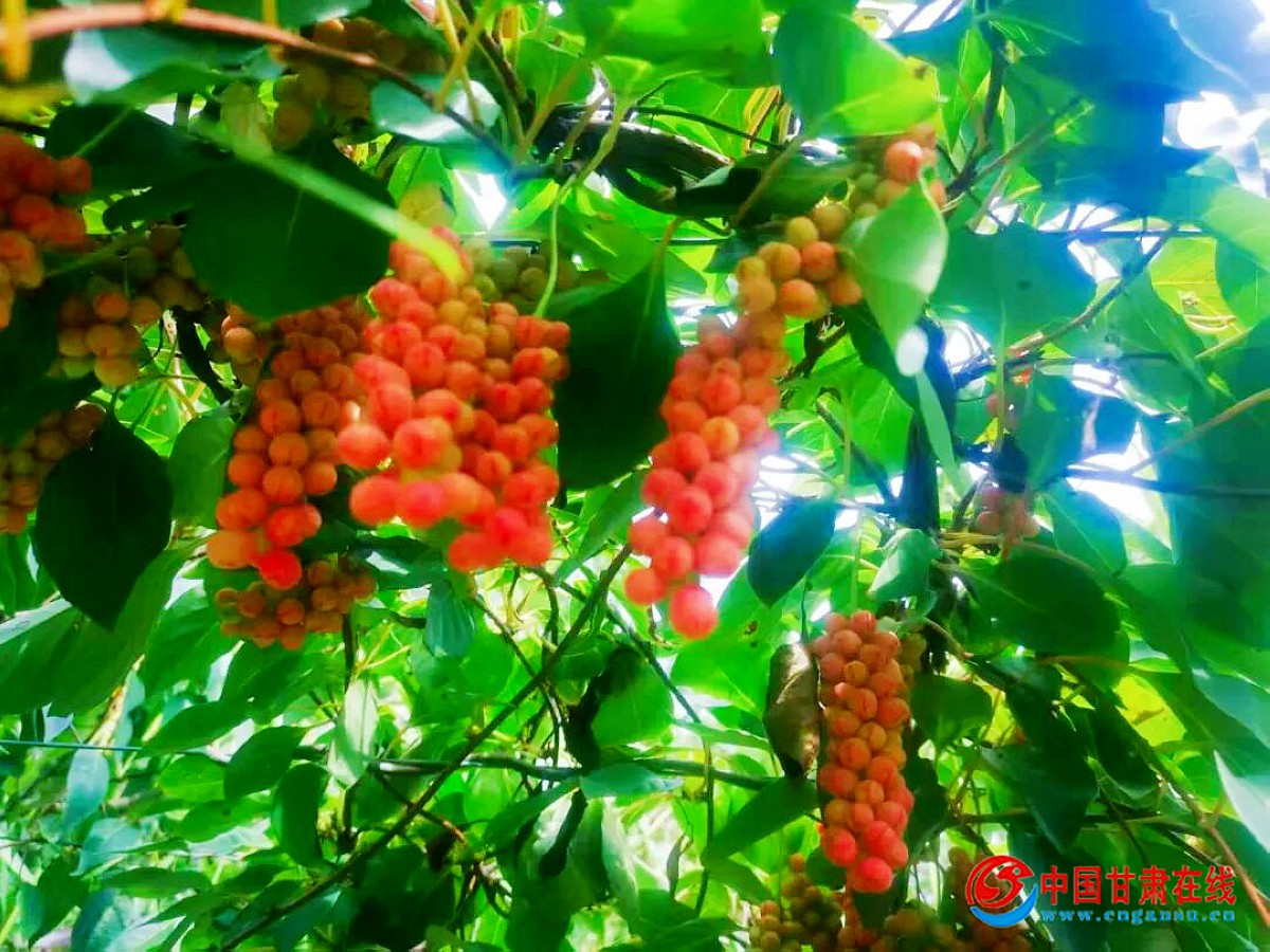 dd4d9ba7be75a8be3ce09ae965456e5f.jpg nEO_IMG_图片12.jpg