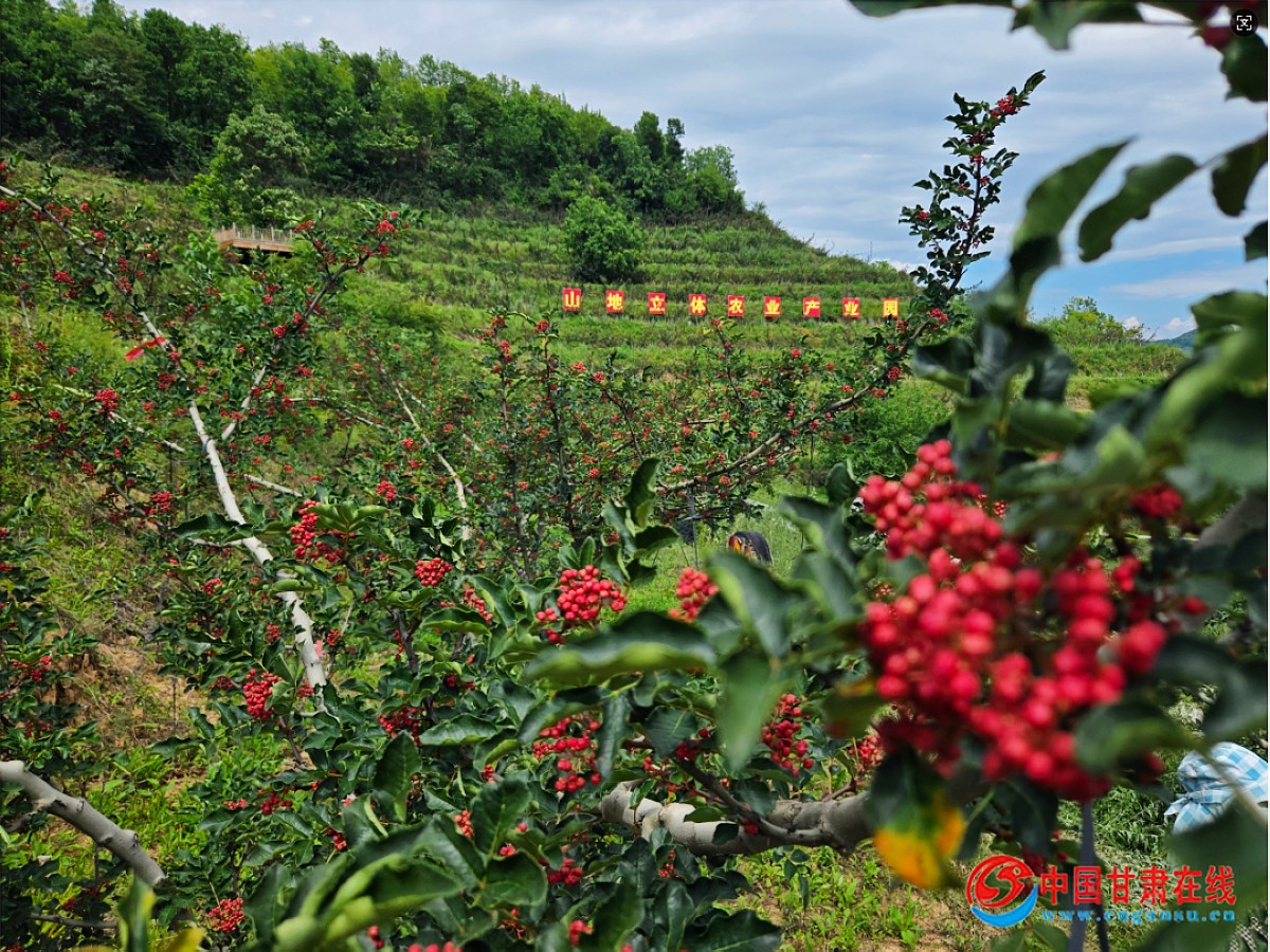 7addfd6a320acb7efa2ed6fb25739252.jpg nEO_IMG_图片1.jpg