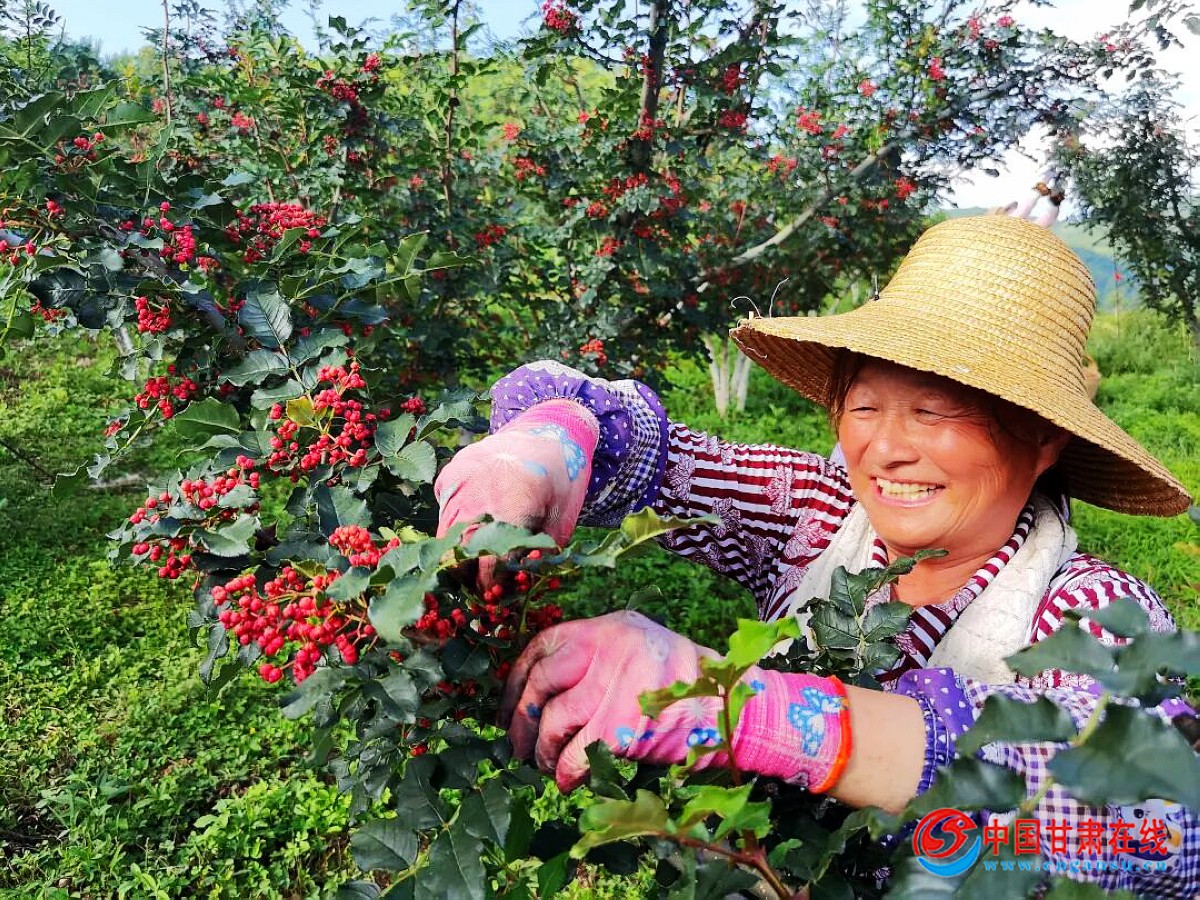 f2729920c25d59a88b2a25cf23c4bb67.jpg nEO_IMG_图片2.jpg