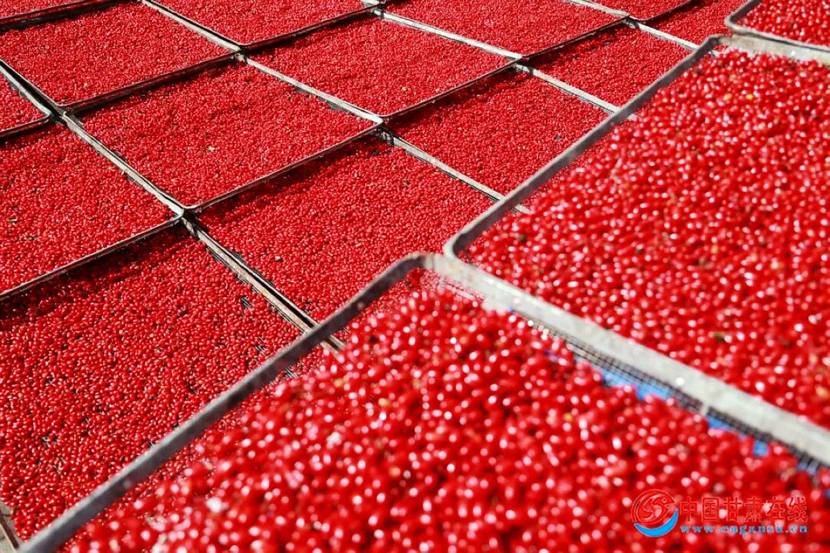 69d2ac7c7fe69204e7bd067aa57f53c4.jpg nEO_IMG_图片7.jpg