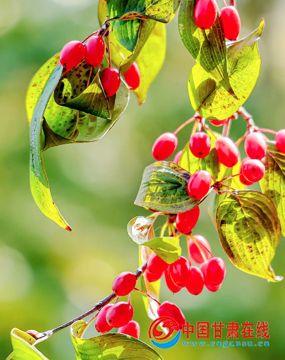 9a24540abe358dccfb5a2de5da88a744.jpg nEO_IMG_图片5.jpg