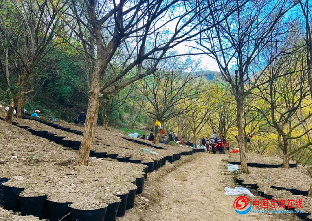 cc5432eb1df56ea581827ef12bf7c183.jpg nEO_IMG_图片6.jpg