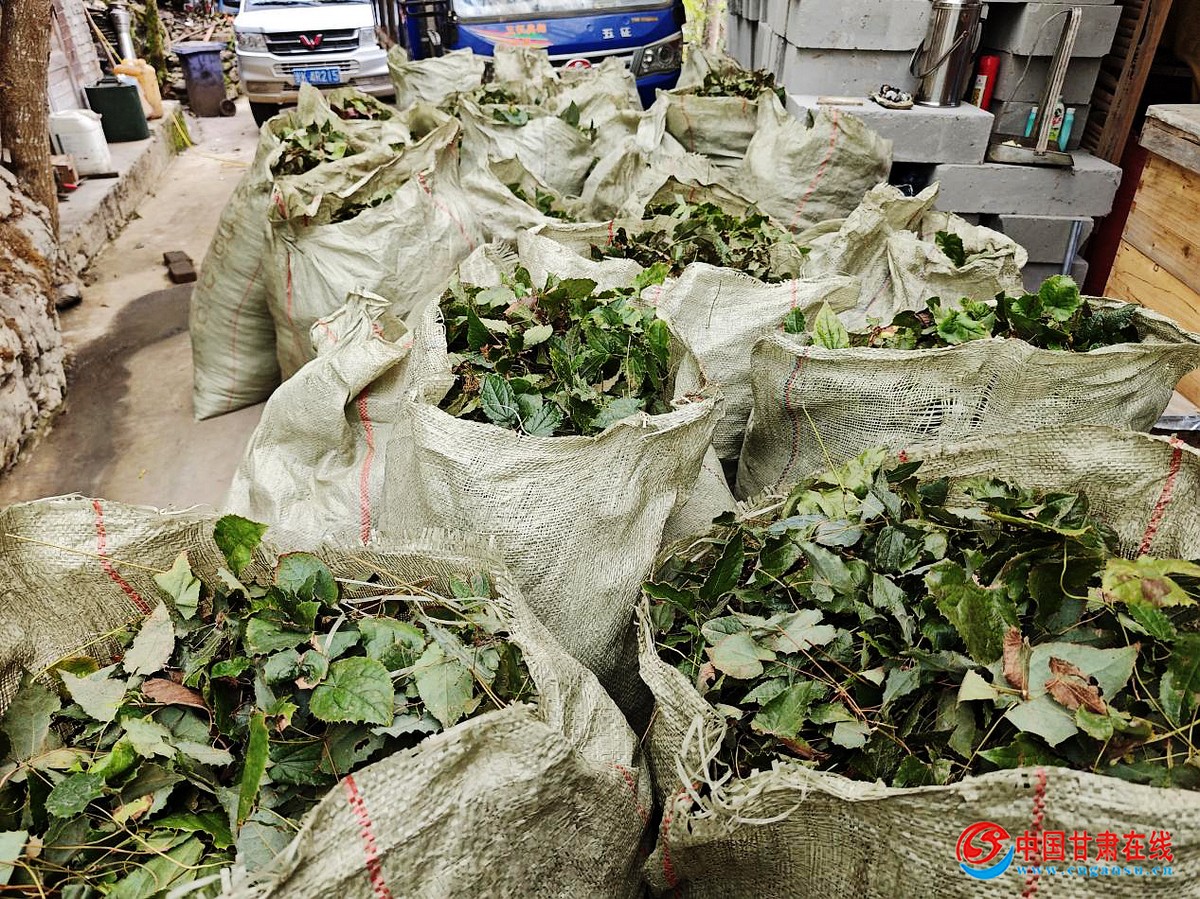 ec2c2d5b2c44066d94389ee6189ceea4.jpg nEO_IMG_图片23.jpg