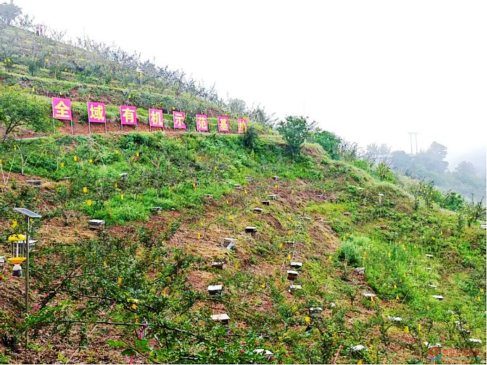 7bf19befada53ecfbc49474f89bfc70d.jpg nEO_IMG_图片4.jpg